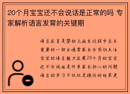20个月宝宝还不会说话是正常的吗 专家解析语言发育的关键期